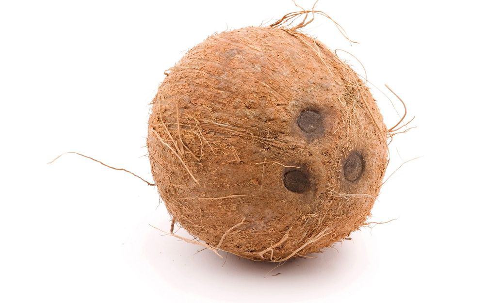 why do bowling balls look like coconuts