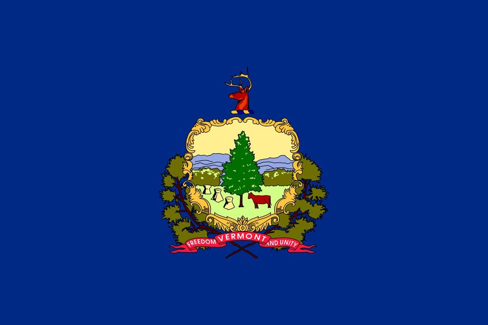 What Ice Hockey Team Is in Vermont